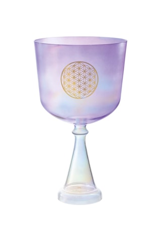 Meinl Sonic Energy Csc8fpfol Hayatın Çiçeği Kalp Çakrası 8'' Crystal Singing Ses Kadehi Purple
