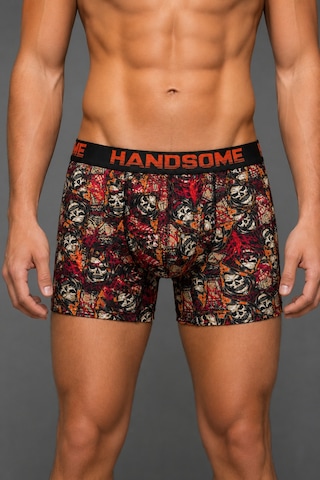 Brem Handsome Kurukafa Desenli Erkek Boxer Çok Renkli