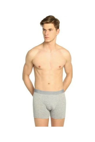 6 Adet Tutku Likralı Boxer / Külot Erkek Gri Ter0114S