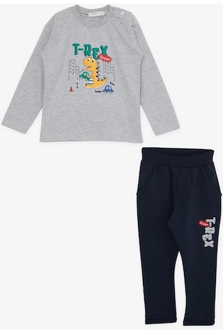 Erkek Bebek Dinazor Baskılı Eşofman Takım-13390-grı Gri