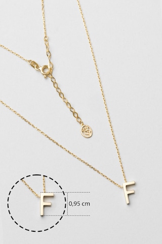 My Story F Harfi 18 Ayar Sarı Altın Kaplama 45 Cm Gümüş Kolye Gold - Gümüş