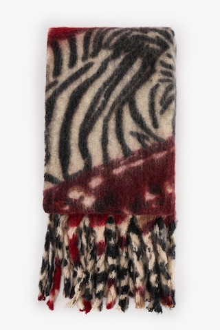 Penti Erica Zebra Desenli Atkı Renkli