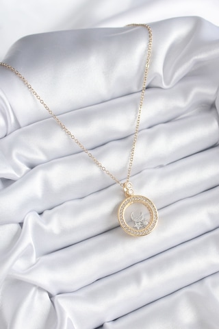 316l Çelik Gold Renk Zirkon Taş Detay Ay Yıldız Fanus Model Kadın Kolye 5886 Altın