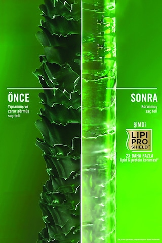 OGX Biberiye & Nane Arındırıcı Sülfatsız Saç Bakım Kremi 385 ml