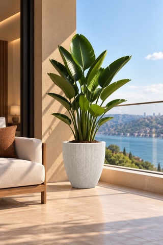 Bostann Dekoratif Saksı - Botonıa 020 - 30l - Beyaz 30 Lt