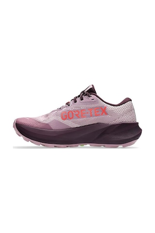 Asics Trabuco 14 Gtx Kadın Koşu Ayakkabısı 1012b936-500 Mor