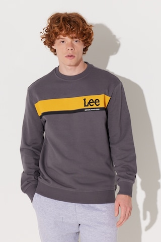 Lee Regular Fit Normal Kesim Bisiklet Yaka Antrasit Sweatshirt L232501003 Antrasit
