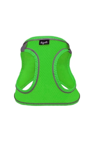 Üç Kilitli Sportif Kedi Köpek Göğüs Tasması 20-24 Cm Xxx-small Yeşil