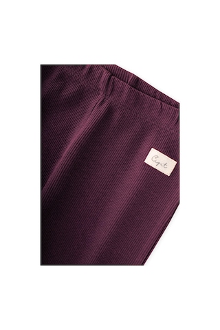 Cigit Tayt Pantolon 1-5 Yaş Bordo