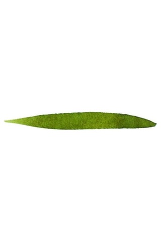 Dolma Kalem Kartuşu 6'li Zeytin Yeşili Diğer