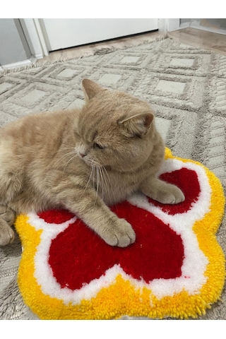 Kirbi Kedi Patisi Süs Halı Çok Renkli