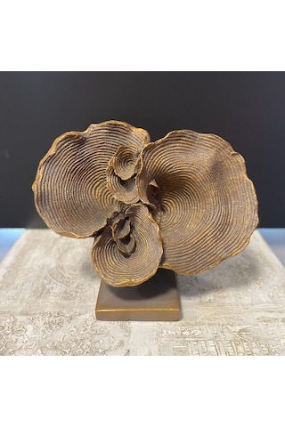 Büyük Kaideli Deniz Mercan