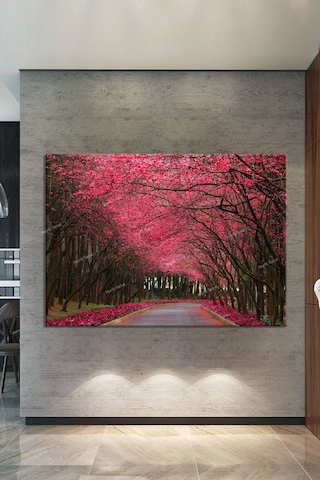 Kiraz Çiçekli Yol Manzara Doğa Tabiat Kanvas Tablo 60 x 40