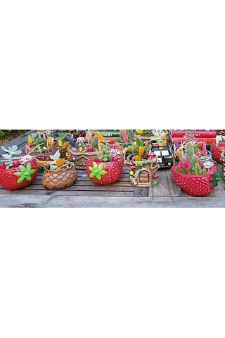 Çilek Saksı İç-dış Mekan