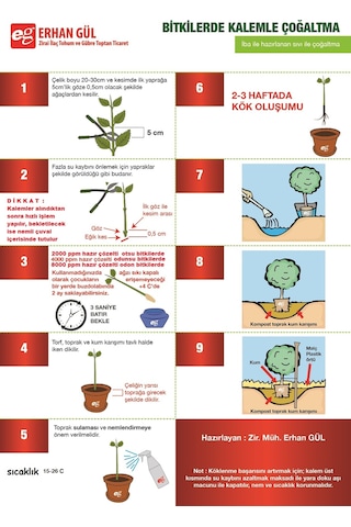 East Root Iba Çözelti 250 Cc 4000Ppm Kullanıma Hazır Kök Hormonu