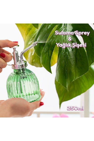 Perotti 15731 Yeşil Vintage Cam Bitki Sulama Şişesi Sprey Şişe