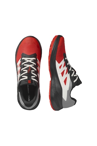 Salomon Alphaglıde Gore-tex Erkek Ayakkabısı L47975200 Çok Renkli