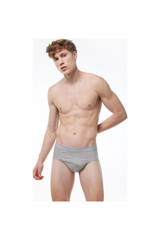 Malabadi Gri Erkek 5 Li Modal Slip Külot 052 Gri