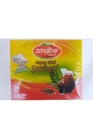 Zengibar Baharat Meyan Kökü Sallama Çay 20'li 320 G