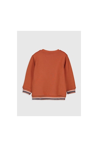 LC Waikiki Lcw Baby Koyu Turuncu Sweatshirt Koyu Turuncu Peh