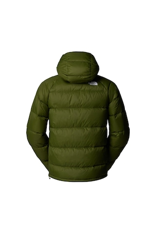 The North Face Hydrenalite Erkek Kapüşonlu Kaz Tüyü Mont Yeşil Yeşil