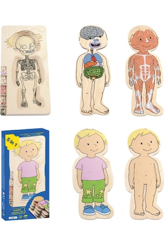 Beleduc Insan Anatomisi Puzzle Kız