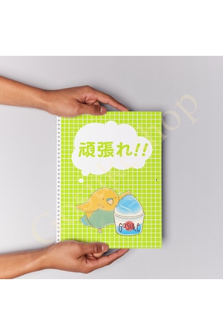 İlkokul Üçüncü Sınıf Kanji Defteri Çok Renkli