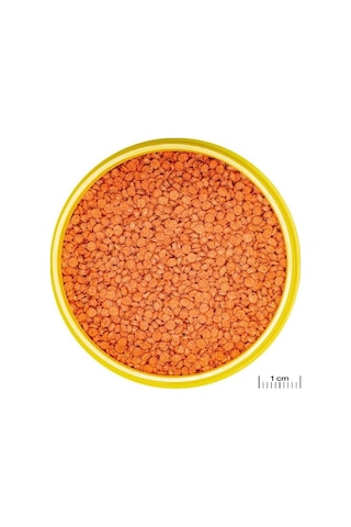 500 Gram Jbl Pro Novo Bits Grano M Granül Balık Yemi