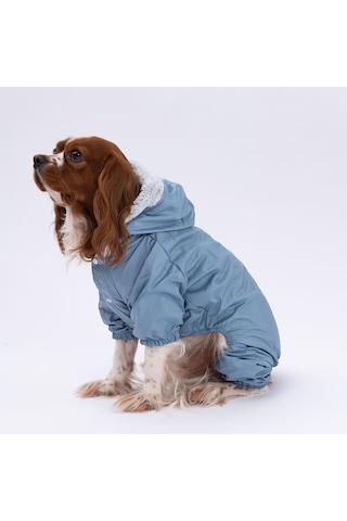 Pettrend Gri Kürklü Tulum Küçük Irk Köpek Yağmurluğu