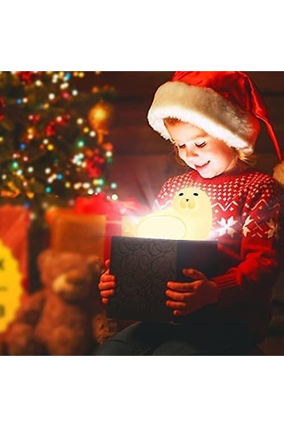 Çocuk Odası Gece Lambası, Sevimli Doğum Günü Hediyesi Lambası Erkek Kız Bebek Hayvan Gece Lambası Deniz Aslanı Diğer