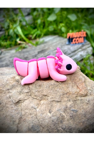 Axolotl Oyuncak 3D Hareketli Yeni Nesil Organik Model - Orta Boy