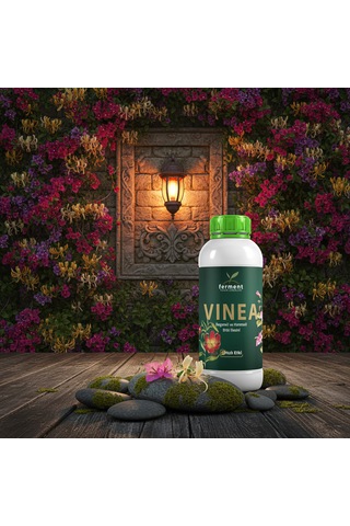 Vinea Üçlü 500 Ml 3 Adet Dış Mekan Süs Bitkisi Besini - Begonvil Ve Hanımeli İçin Hızlı Büyüme 500 ML