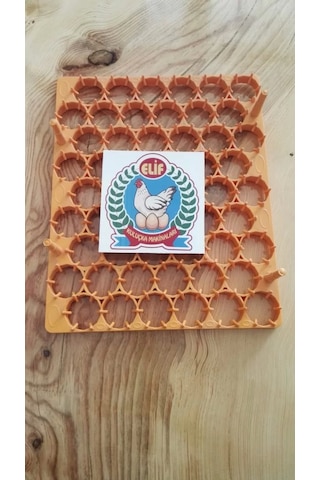 Gelişim viyolu 54 lü Tavuk