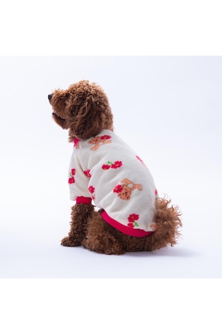 Teddy Bloom Ayıcık Ve Çiçek Desenli Sweat Kedi Köpek Sweati Kedi Köpek Kıyafeti Köpek Peluşu Sıcak Tutan Sweat