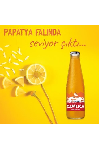 Çamlıca Portakal Aromalı Gazoz 200 Ml X 24 Adet