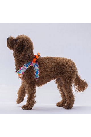 Pawstar Mosaıc Kedi Köpek Göğüs Tasması Xs Mavi