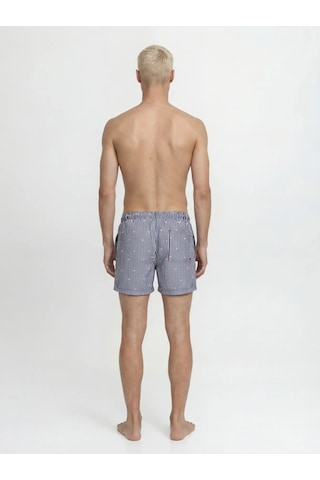 Jack & Jones Jack&jones Jpstmaui Breeze Mini Stripe Erkek Mayo Şort 12291425 Lacivert