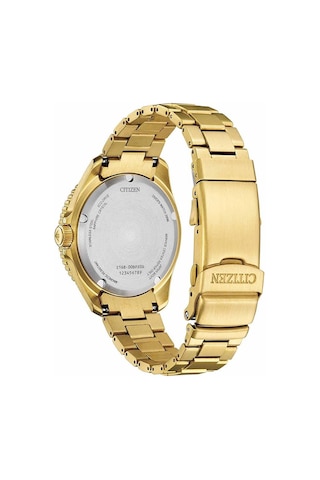 Citizen Bn0262-59w Erkek Kol Saati Altın