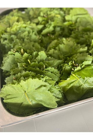 Taze Asma Yaprağı Yeni Sezon Pet 500 G