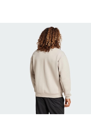 Adidas Terrex Xploric Sweater Erkek Sweatshirt C-adıjd6646e50a00 Bej