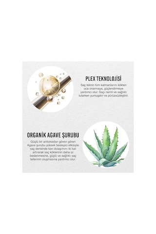 Lexroo No.1 Bond Plex Yıpranma Karşıtı Duş Öncesi Saç Bakım Maskesi 50 Ml- Vegan