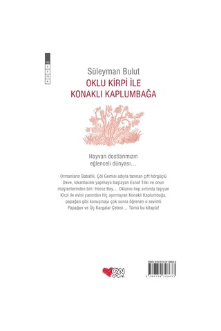 Oklu Kirpi Ile Konaklı Kaplumbağa (551518589)