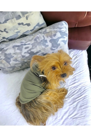 Kemique Cool Gray Atlet Köpek Kıyafeti Köpek Elbisesi