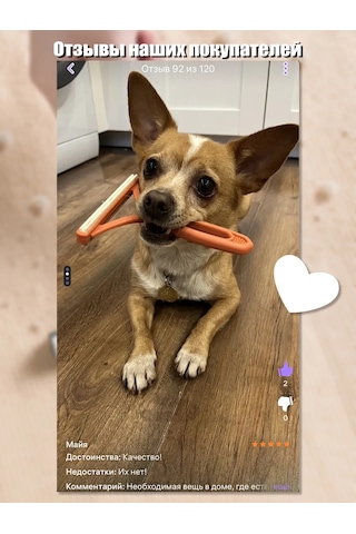 Home Crımea Kıyafet Ve Hayvanlar İçin Fırça. Tüy Ve Kıl Fırçası. 231212707 Mavi