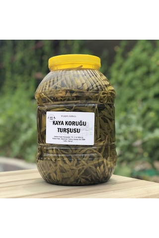Silifke Sepeti Kaya Koruğu Turşusu 5 KG