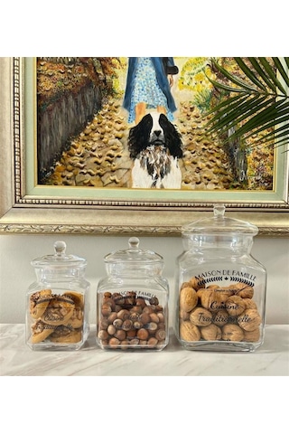 Mia CAM0362 Cam Kapaklı Saklama Kabı 23 CM Çok Renkli