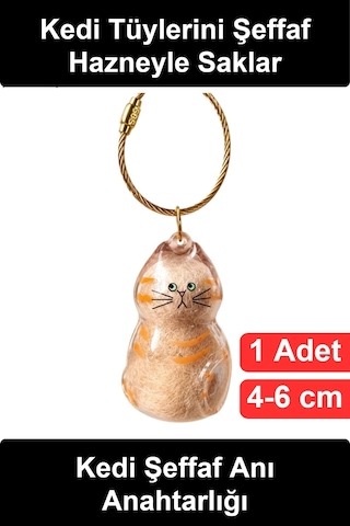 Anıanahtarlığı Kedi Tüyü Saklama Hazneli Şeffaf Figürlü Hatıra Anahtarlık İçi Boş Akrilik Evcil Hay