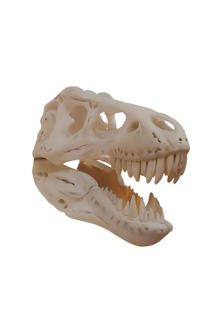 T-rex Kafası Duvar Dekoru