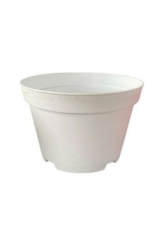 Katı Plastik Sukulent Saksısı 5 Adet Beyaz 8.5 Cm