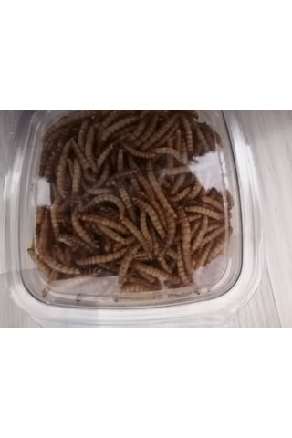 Kurutulmuş Un Kurdu 50 Gram